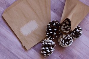 DIY Pinecone Ornament Favors 