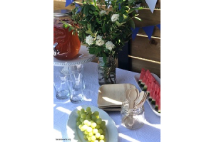 Top 10 Plastic Free Party Swaps
