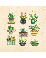 Succulents Cocktail Napkin - 20 napkins per package