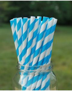 Eco-Friendly Paper Straws - Blue