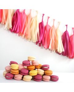 Macaron Tissue Paper Tassel Garland - 6'