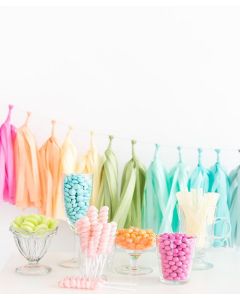 Tissue Paper Tassel Garland Kit - Rainbow