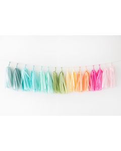 Tissue Paper Tassel Garland Kit - Rainbow