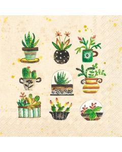 Succulents Cocktail Napkin - 20 napkins per package