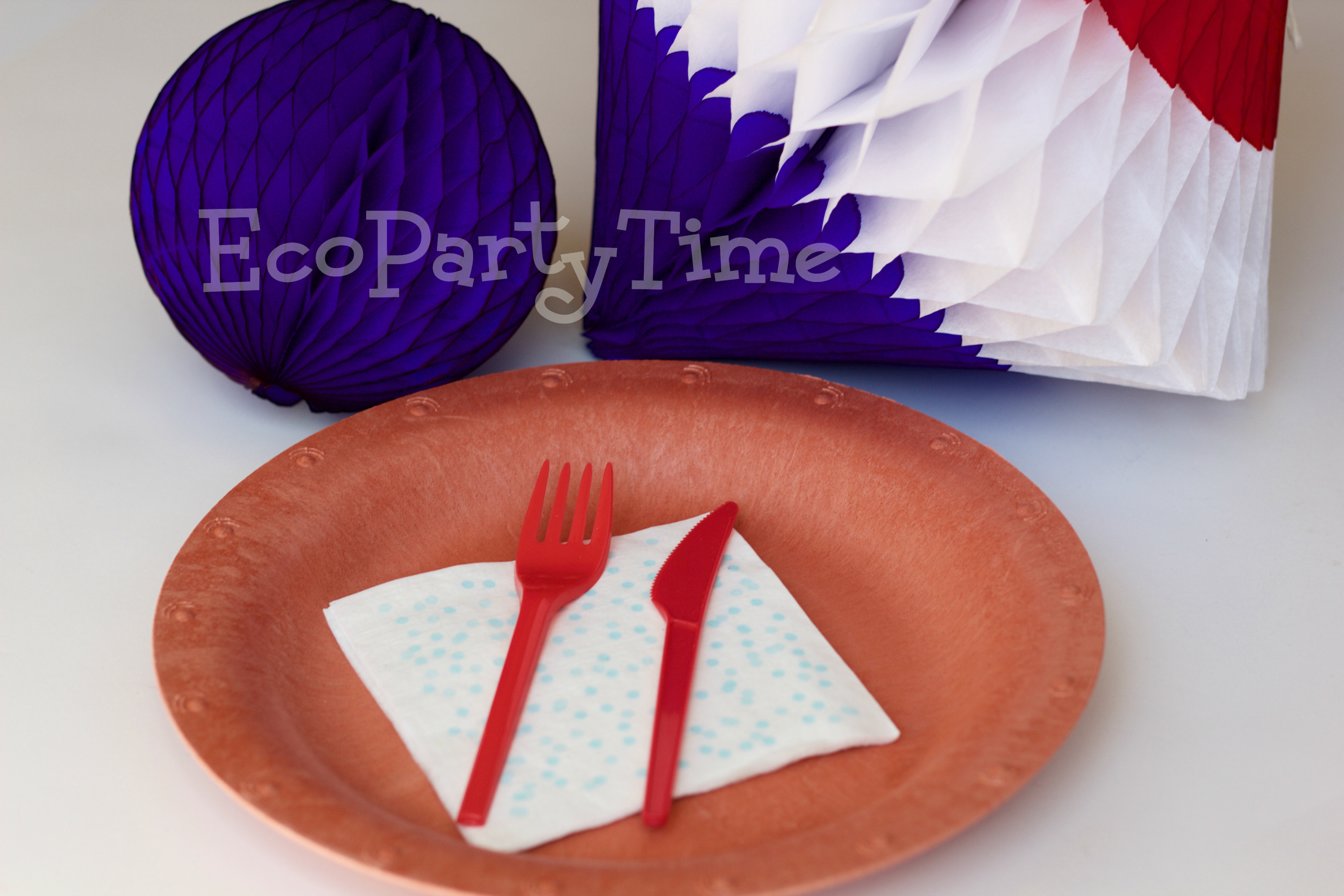 Ecopartytime: Eco-Friendly Memorial Day Products