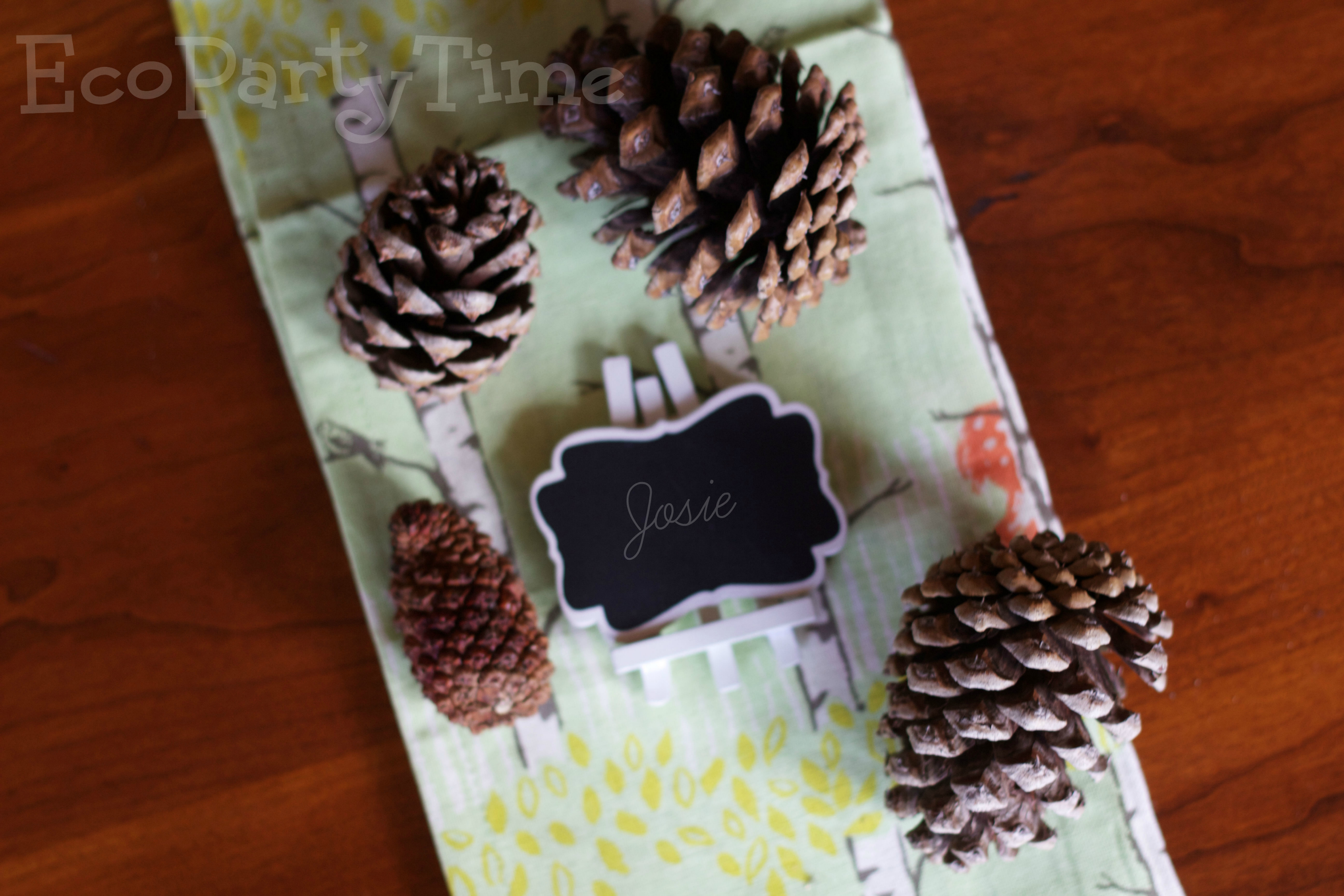 Ecopartytime: The Best Products for an Eco-Friendly Woodland Party