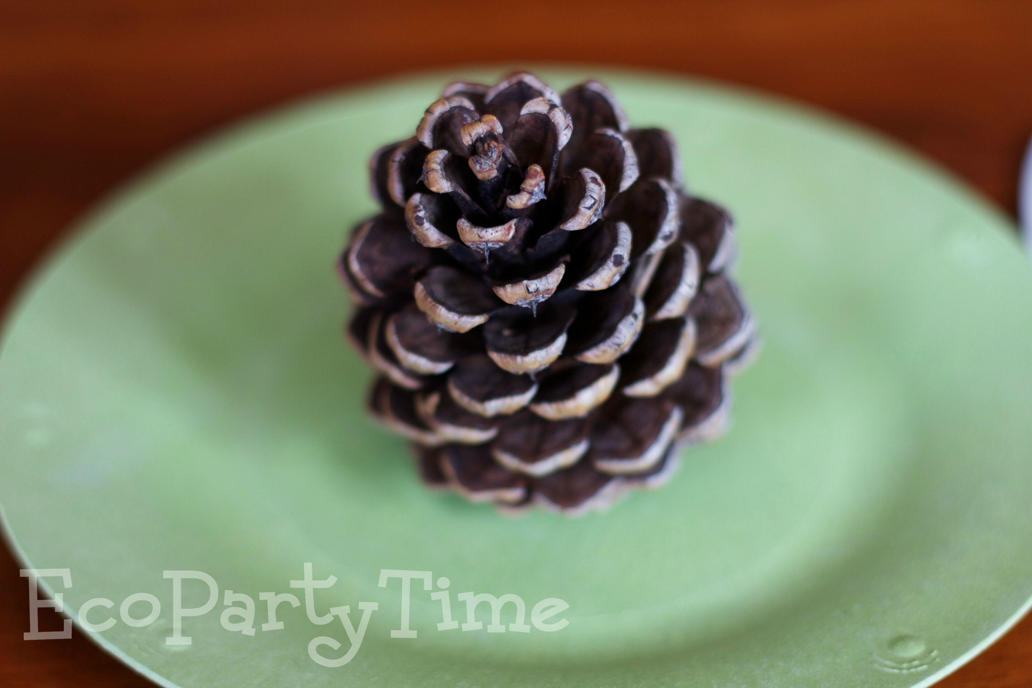 Ecopartytime: The Best Products for an Eco-Friendly Woodland Party