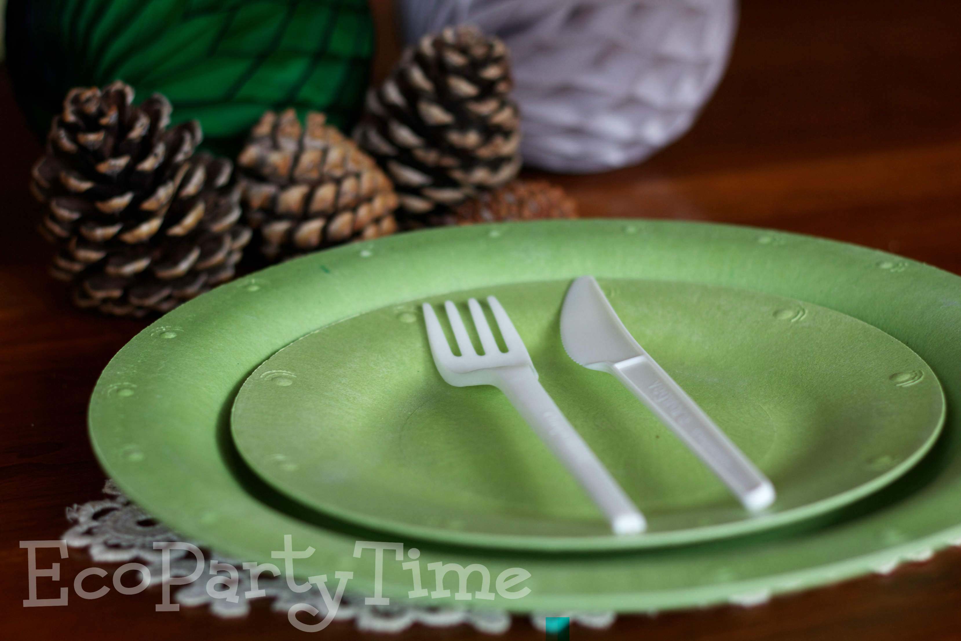 Ecopartytime: The Best Products for an Eco-Friendly Woodland Party