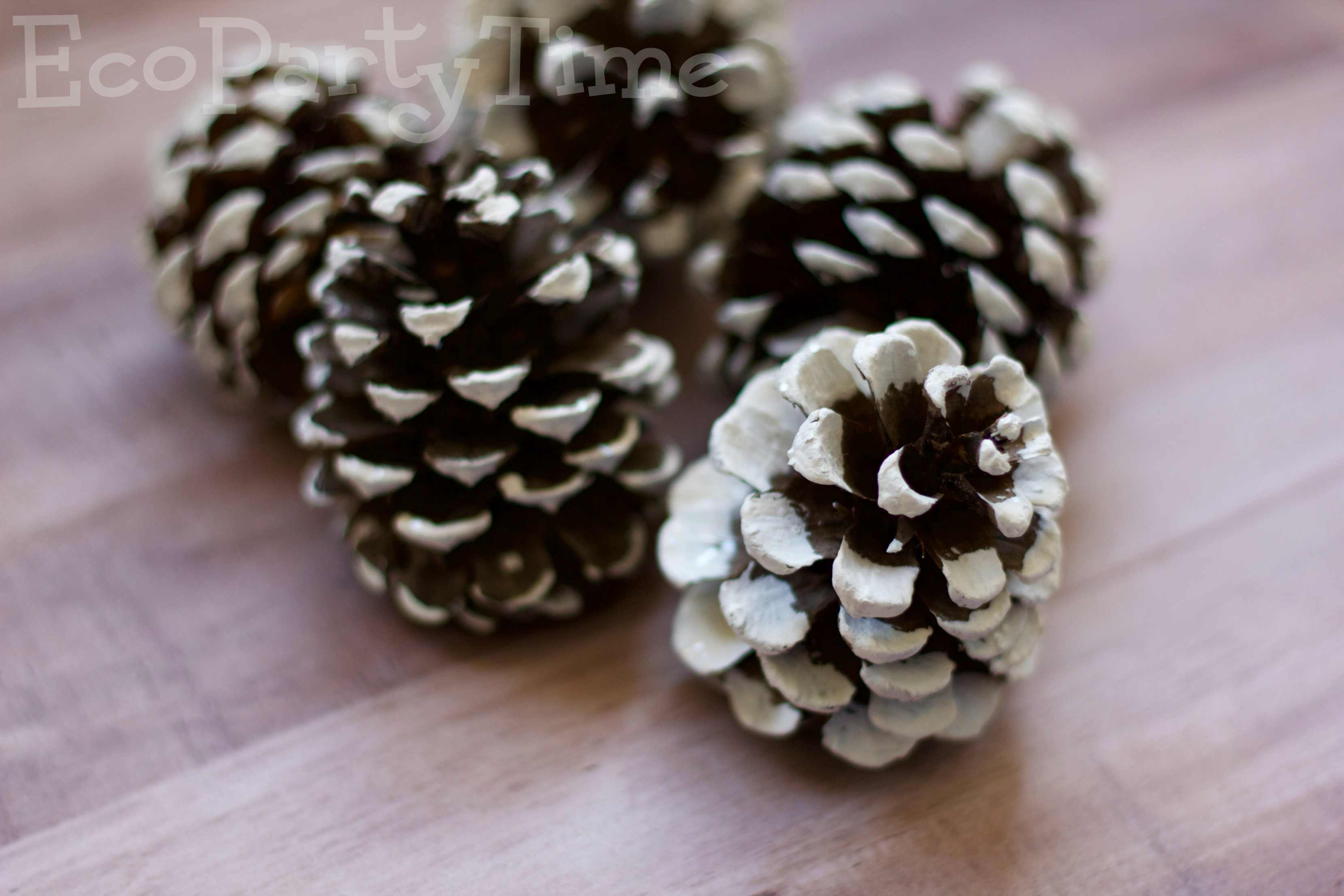 Ecopartytime: Eco-Friendly DIY Pinecone Ornament Favors 