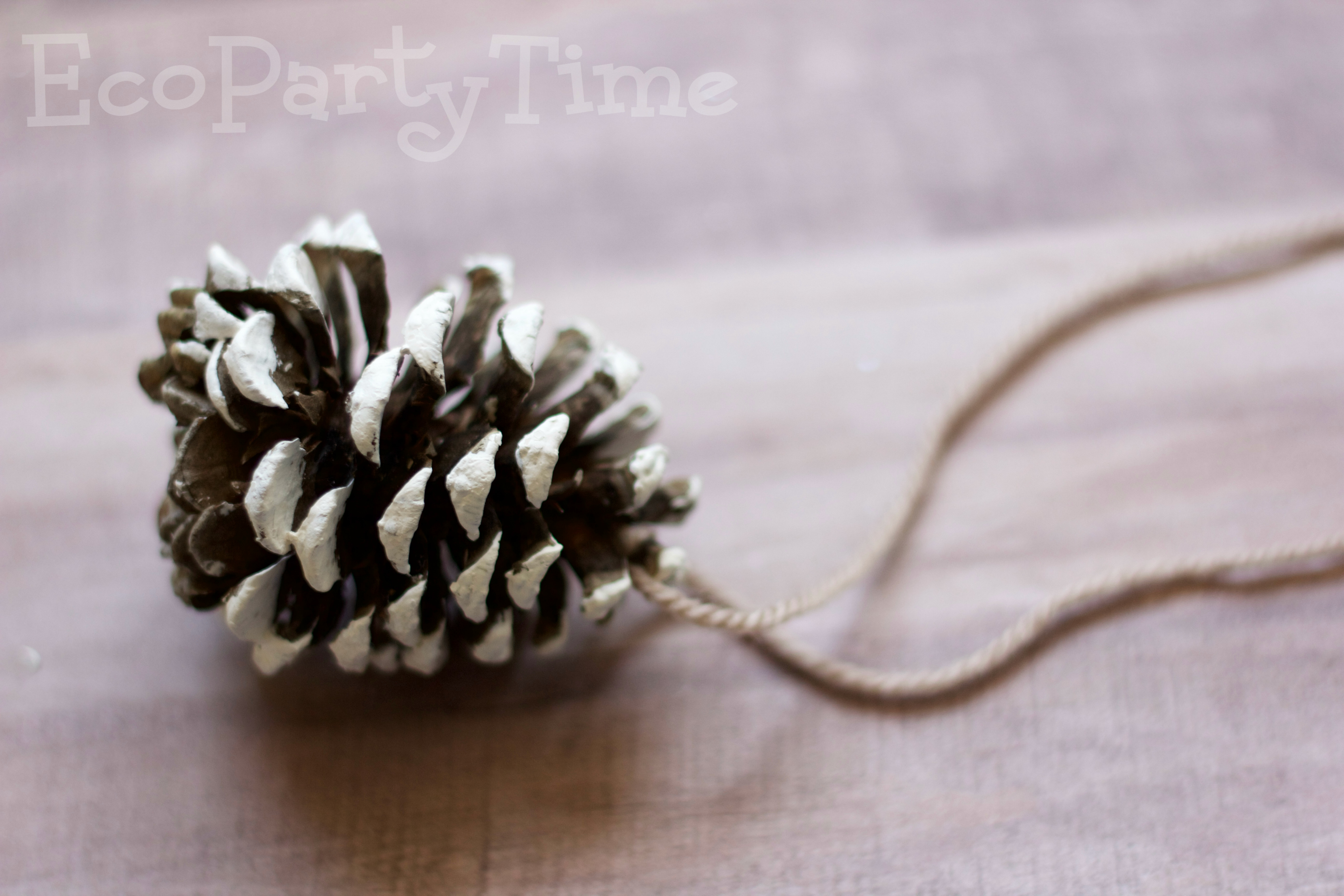 Ecopartytime: Eco-Friendly DIY Pinecone Ornament Favors
