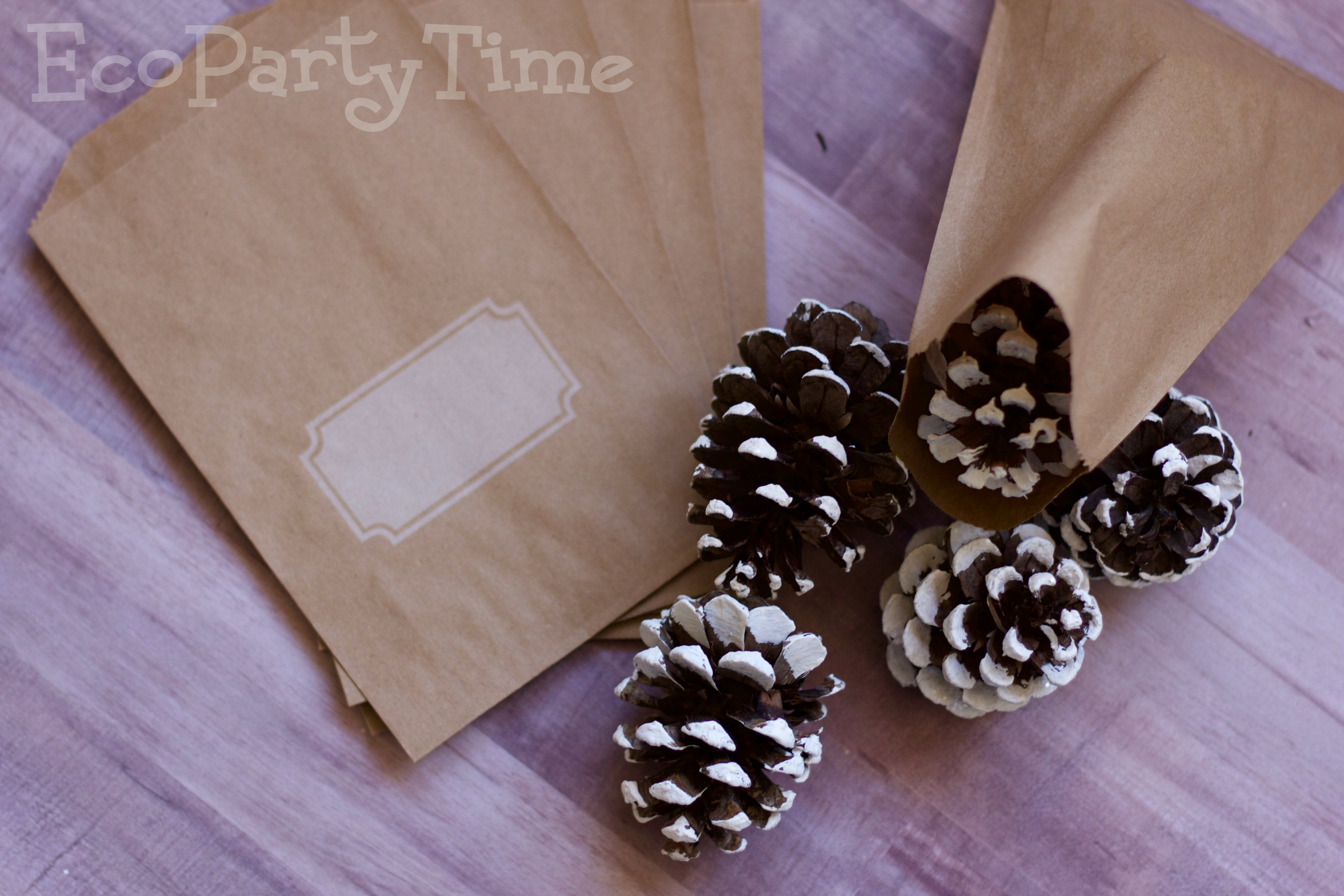 Ecopartytime: Eco-Friendly DIY Pinecone Ornament Favors