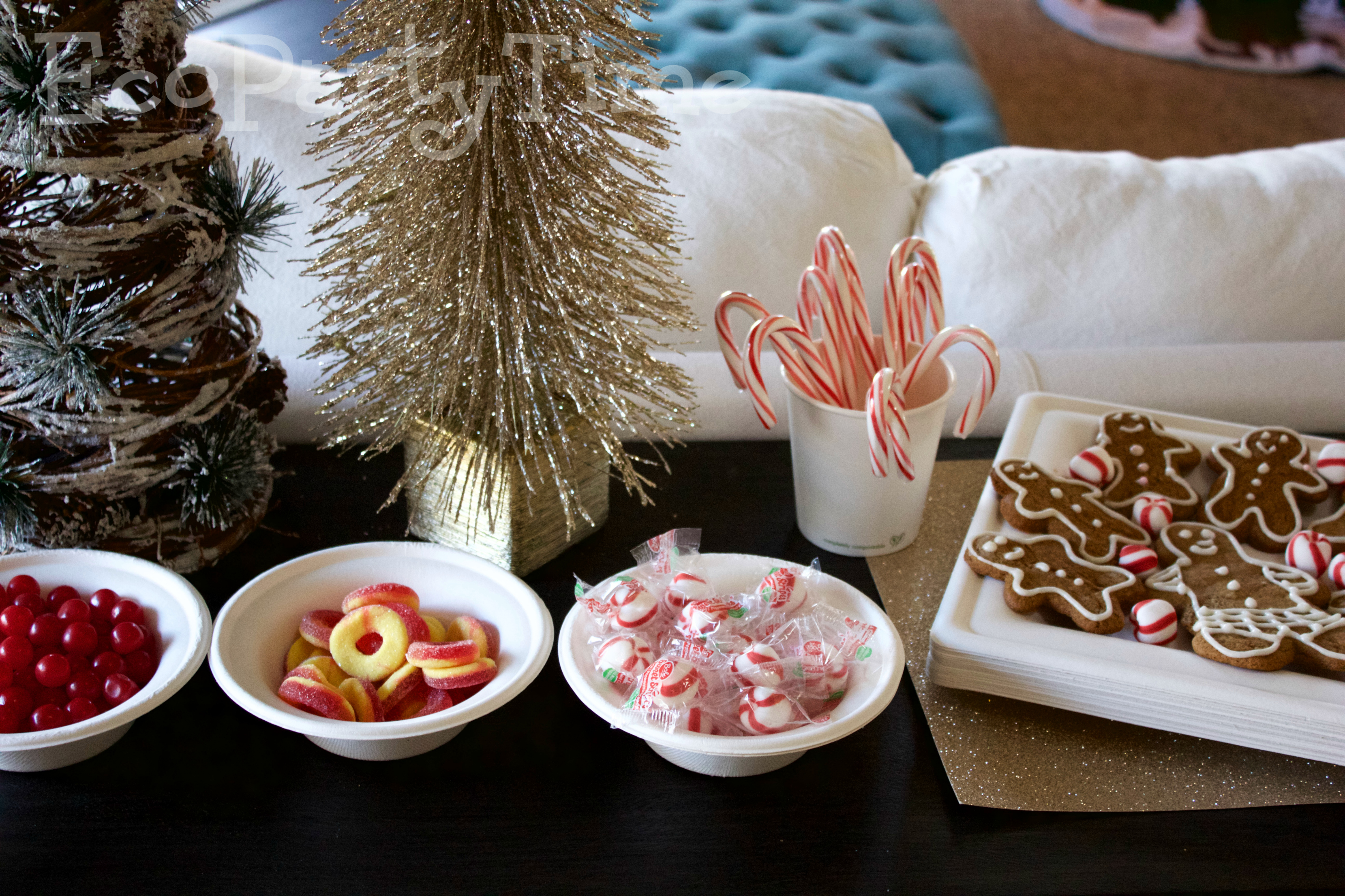 Ecopartytime: Gingerbread House Decorating Party