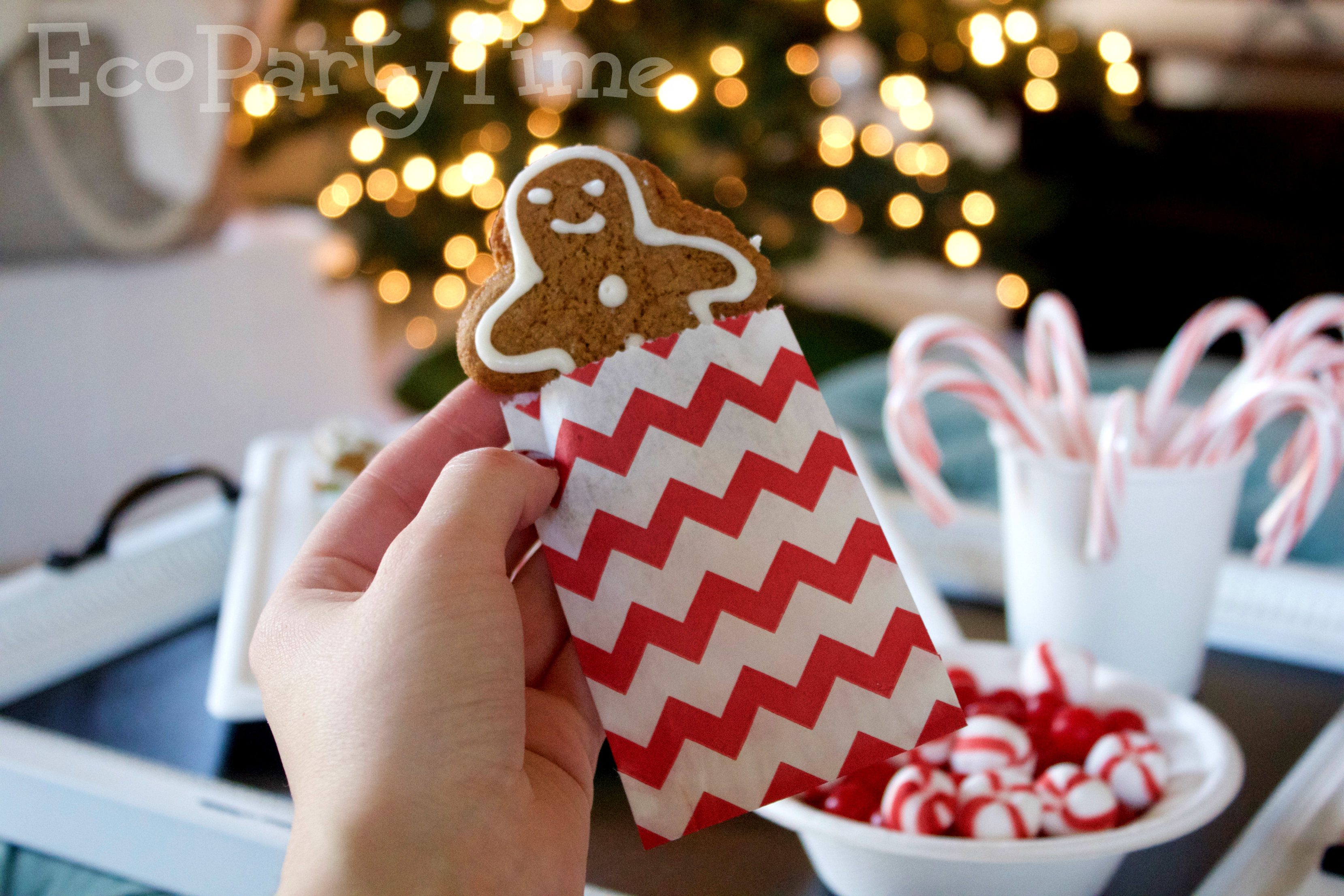 Ecopartytime: Gingerbread House Decorating Party