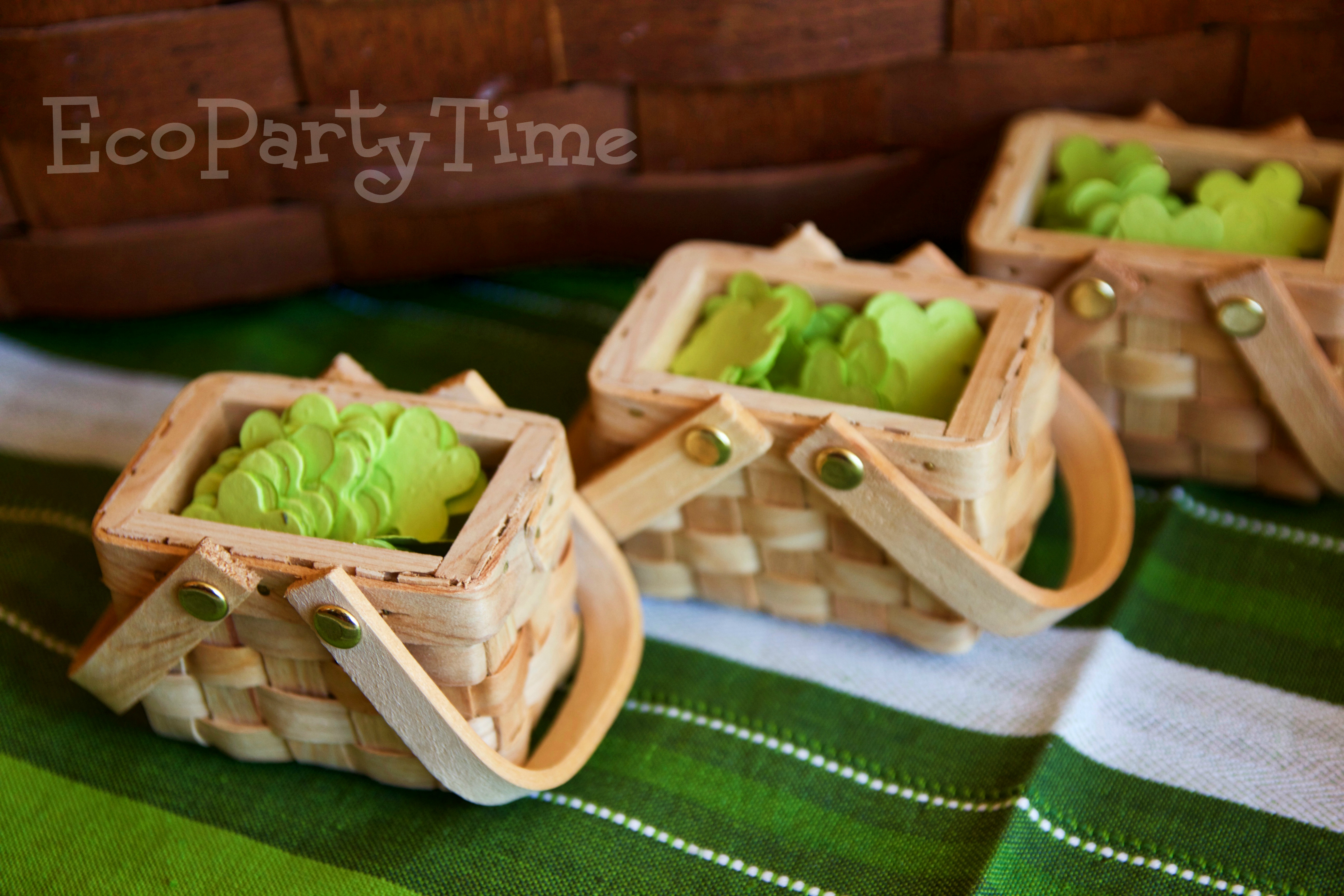 Ecopartytime: Eco-Friendly Earth Day Picnic