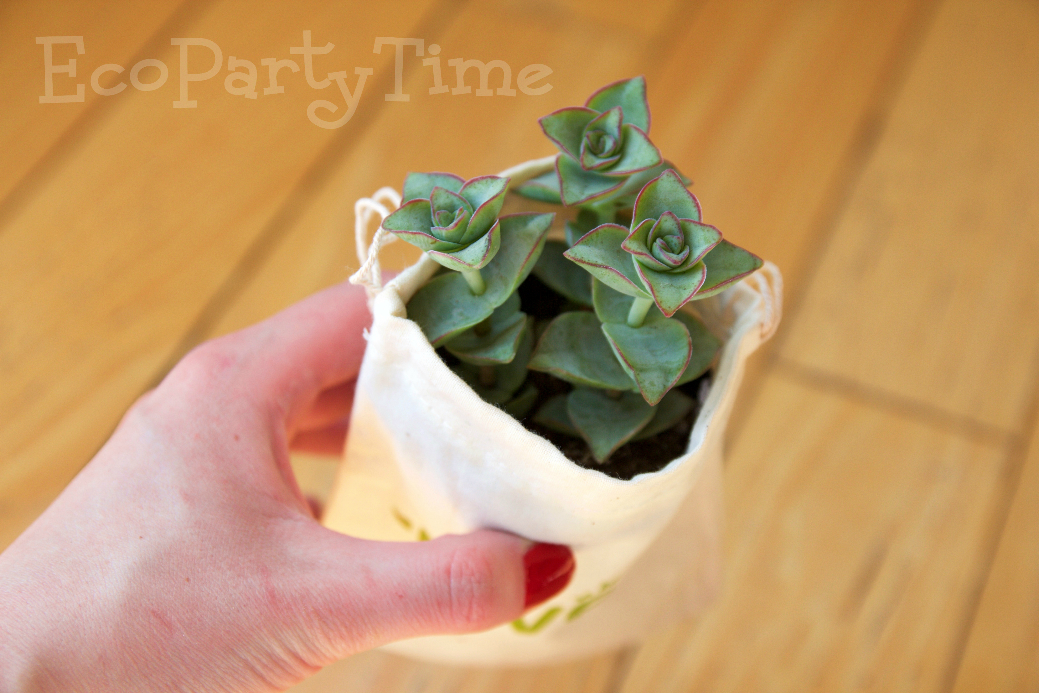 Ecopartytime: Fun Ways to Celebrate Earth Day