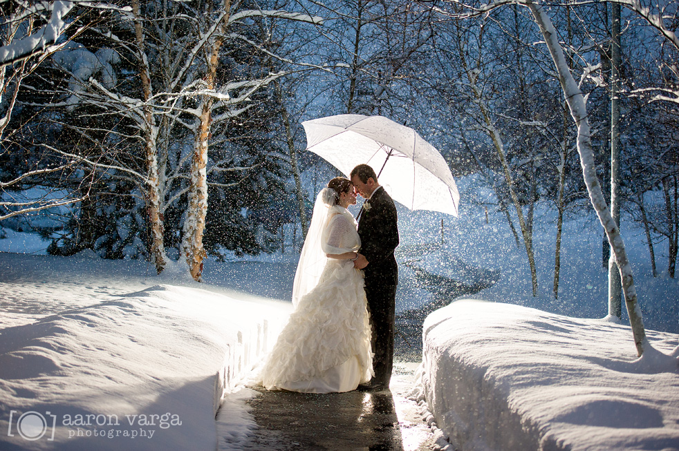 Eco-friendly Winter Wedding Themes from Ecopartytime - Photo Ideas