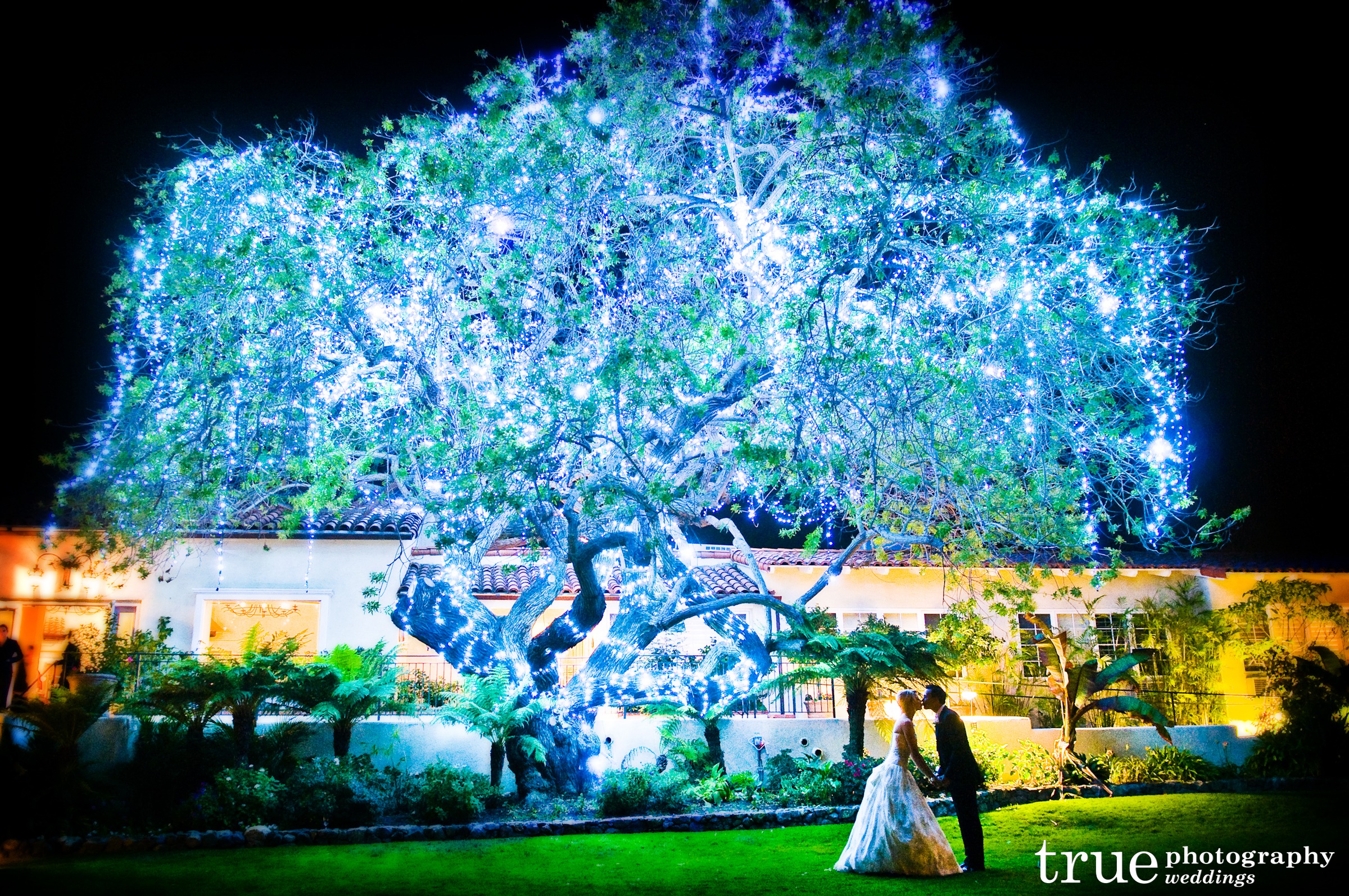 Eco-friendly Winter Wedding Themes from Ecopartytime - Photo Backdrop
